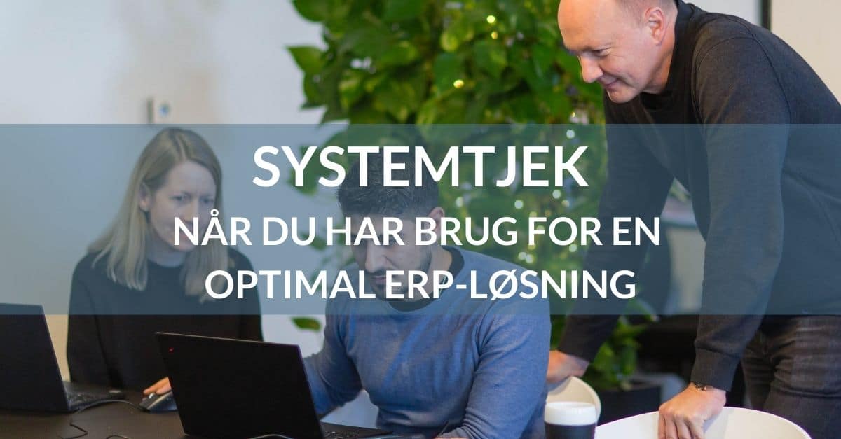 System check for optimal erp solution